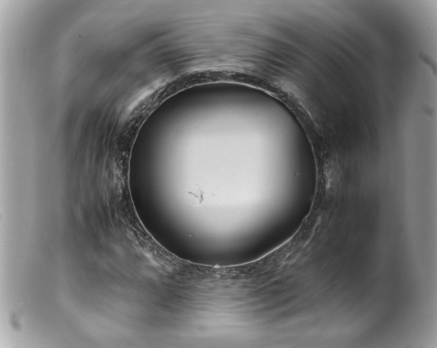 X0000100231064200805301407