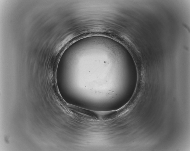X0000100231065200805301407