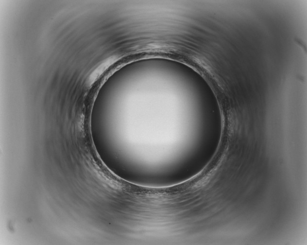 X0000100231066200805301407