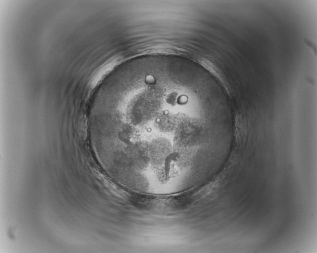 X0000100231067200805301407