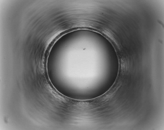 X0000100231068200805301407