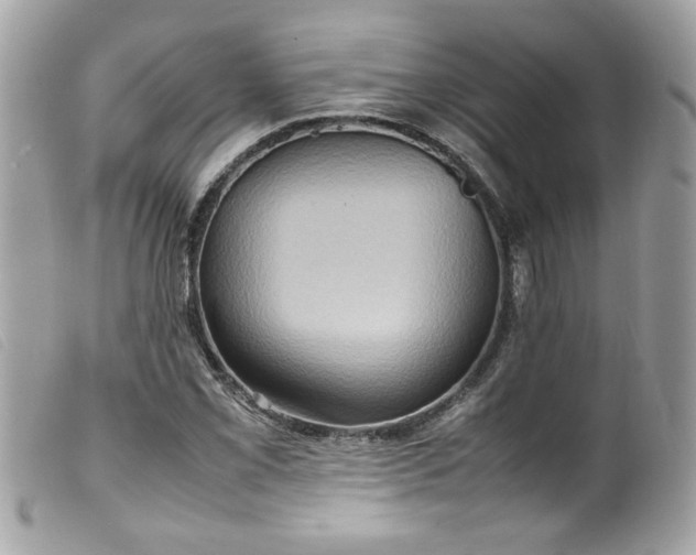 X0000100231069200805301407
