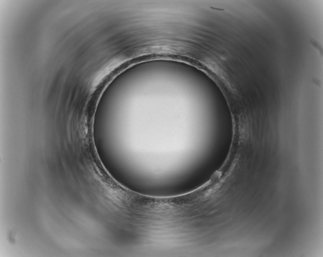 X0000100231070200805301407