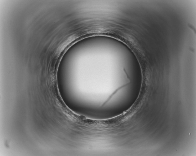 X0000100231073200805301407