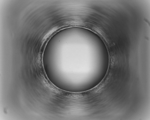 X0000100231074200805301407