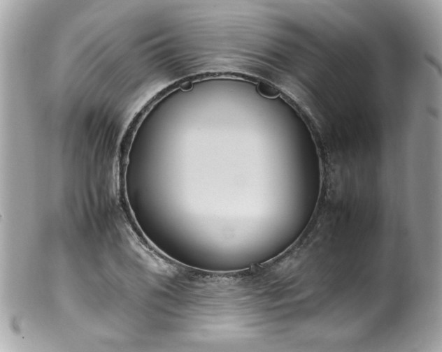 X0000100231076200805301407