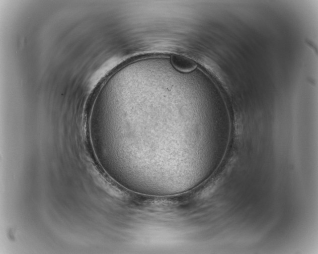 X0000100231077200805301407