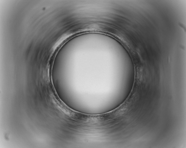 X0000100231078200805301407