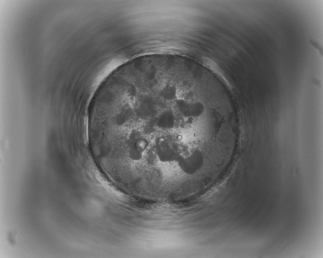 X0000100231079200805301407