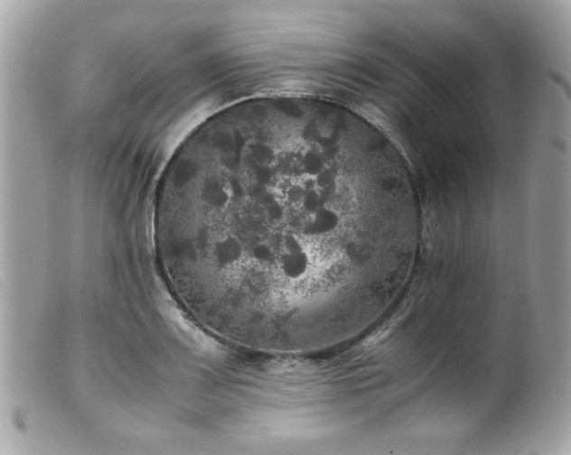 X0000100231083200805301407
