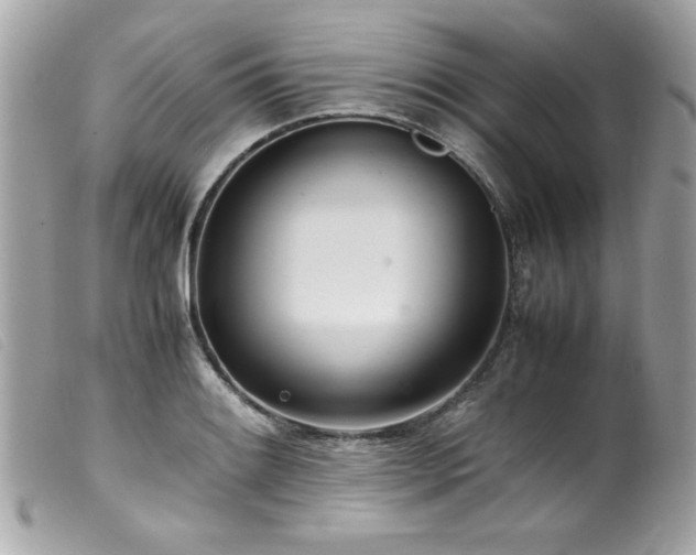 X0000100231084200805301407