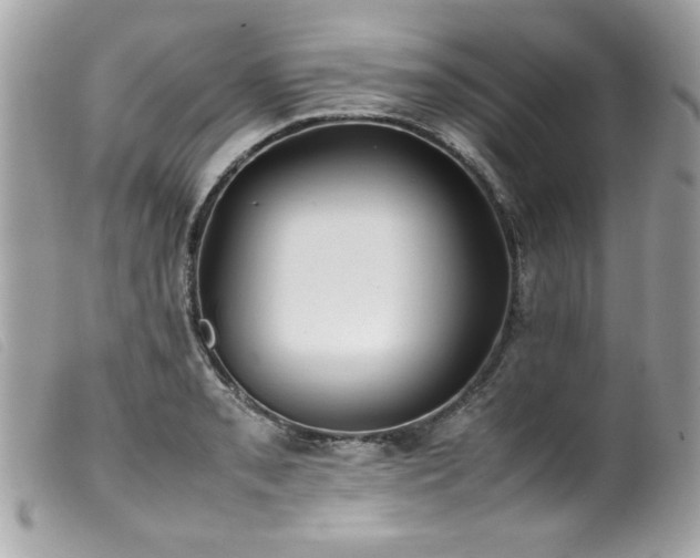 X0000100231085200805301407