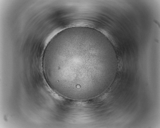 X0000100231086200805301407