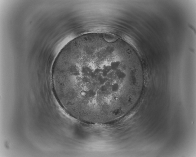 X0000100231087200805301407