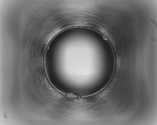X0000100231089200805301407