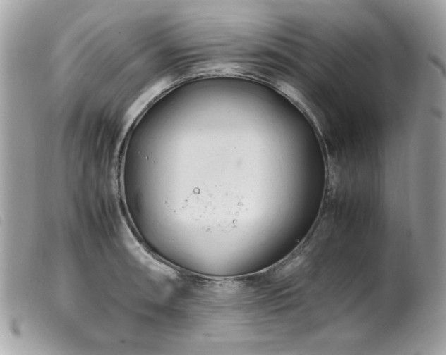 X0000100231090200805301407