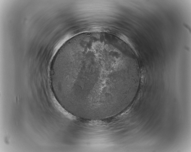 X0000100231091200805301407