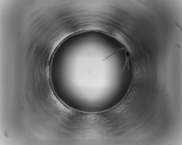 X0000100231092200805301407