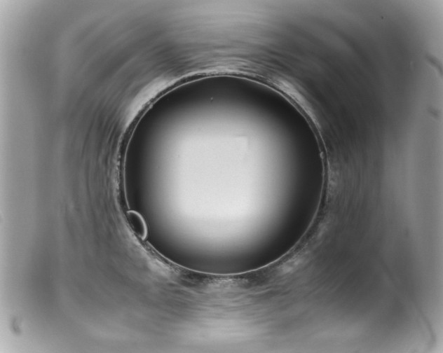 X0000100231093200805301407