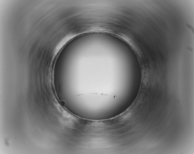 X0000100231094200805301407