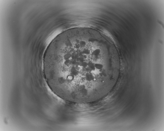 X0000100231095200805301407