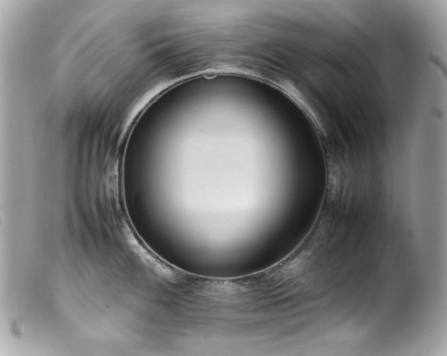 X0000100231100200805301407