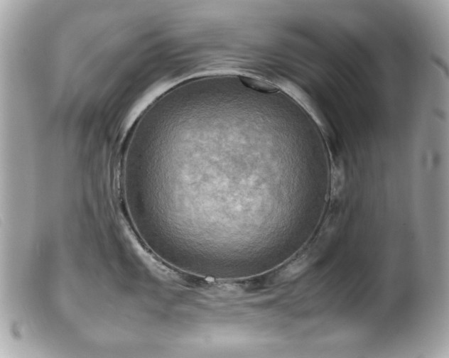X0000100231101200805301407