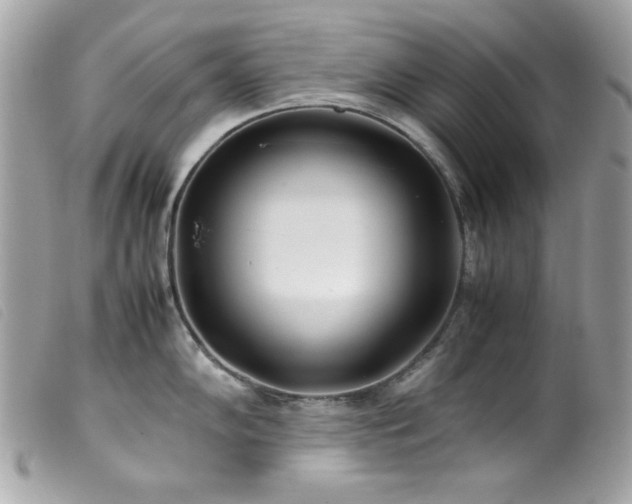 X0000100231102200805301407