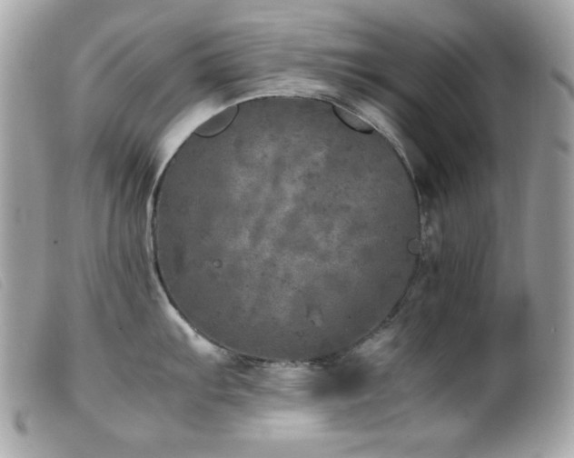 X0000100231103200805301407