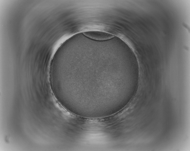 X0000100231104200805301407