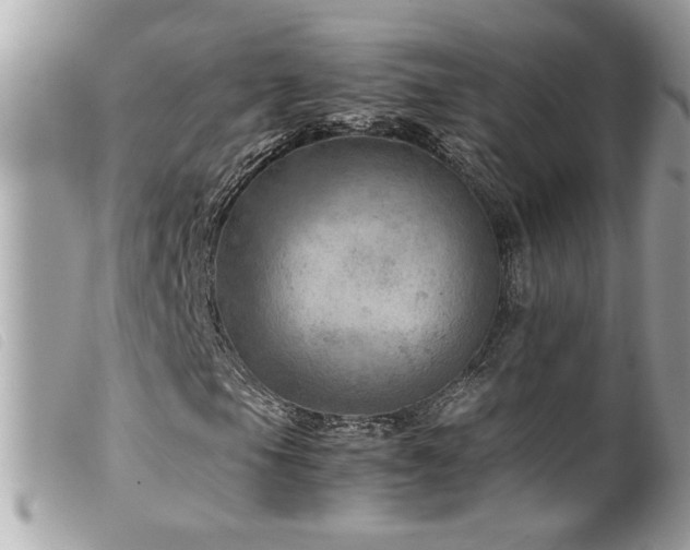 X0000100231105200805301406