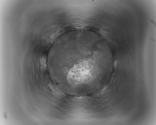 X0000100231106200805301406