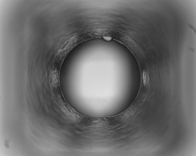 X0000100231107200805301406