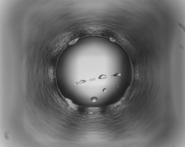 X0000100231108200805301406