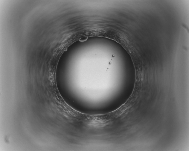 X0000100231109200805301406
