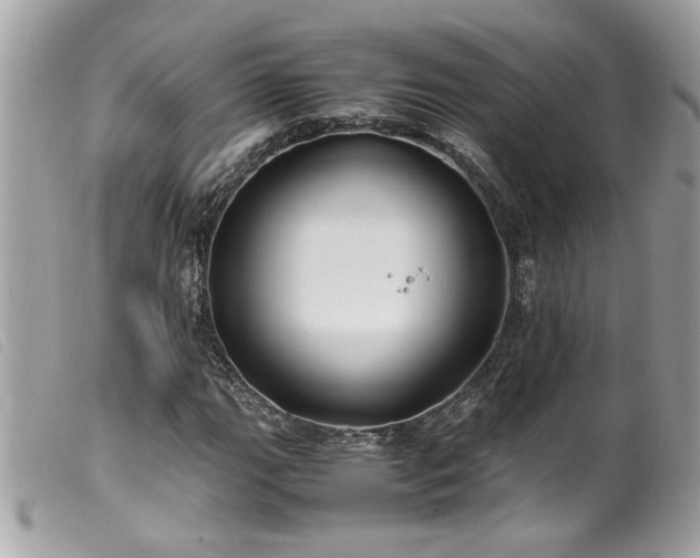 X0000100231111200805301406