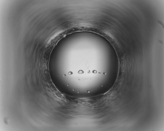 X0000100231112200805301406