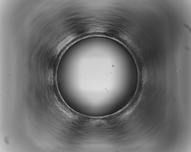 X0000100231113200805301406