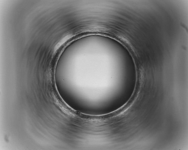 X0000100231114200805301406