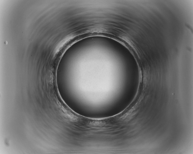 X0000100231115200805301406
