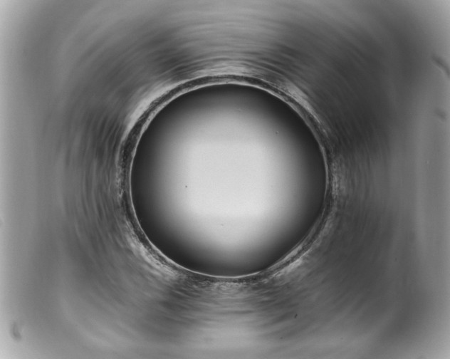 X0000100231116200805301406