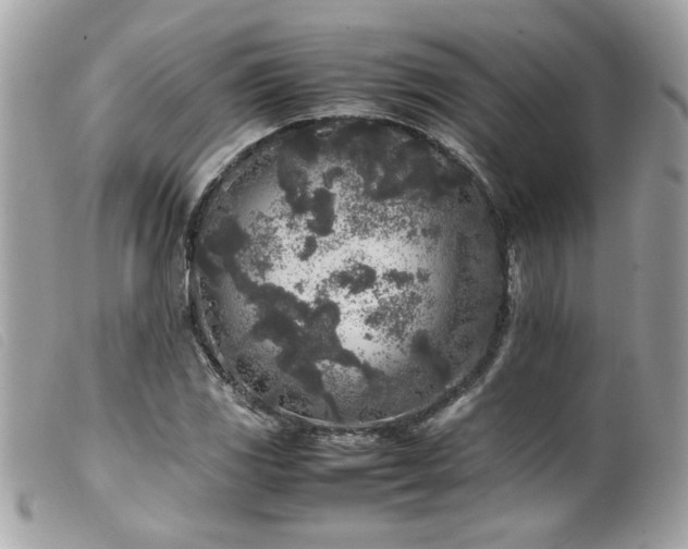 X0000100231117200805301406