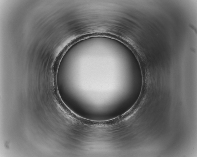 X0000100231118200805301406