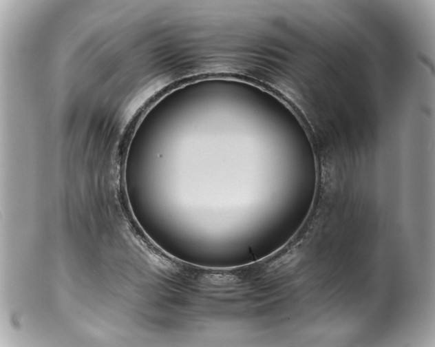 X0000100231119200805301406