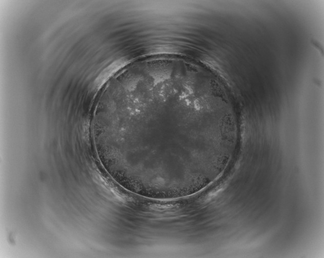 X0000100231121200805301406