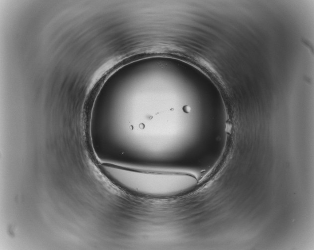 X0000100231122200805301406