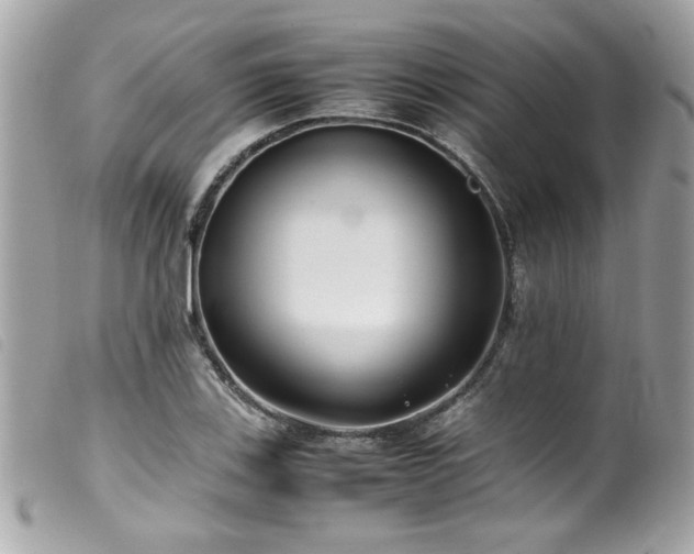 X0000100231123200805301406