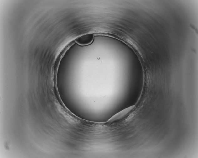 X0000100231124200805301406