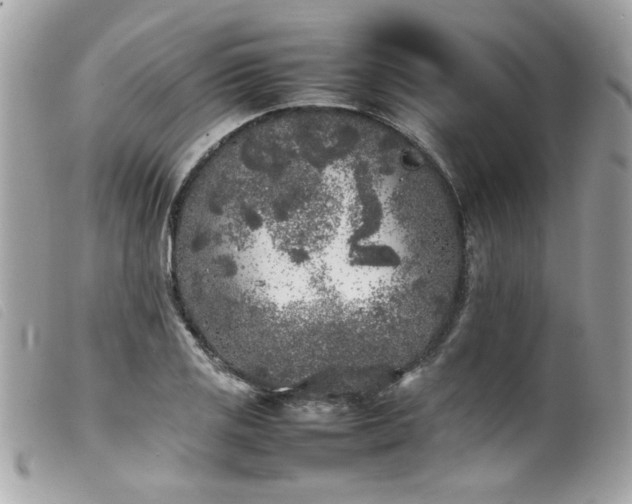 X0000100231125200805301406