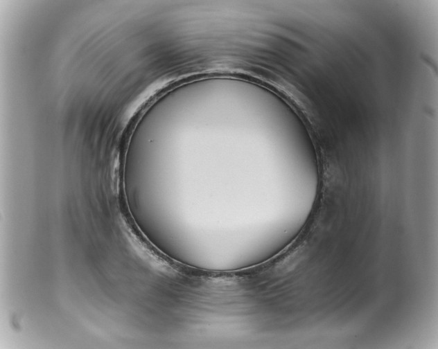 X0000100231126200805301406